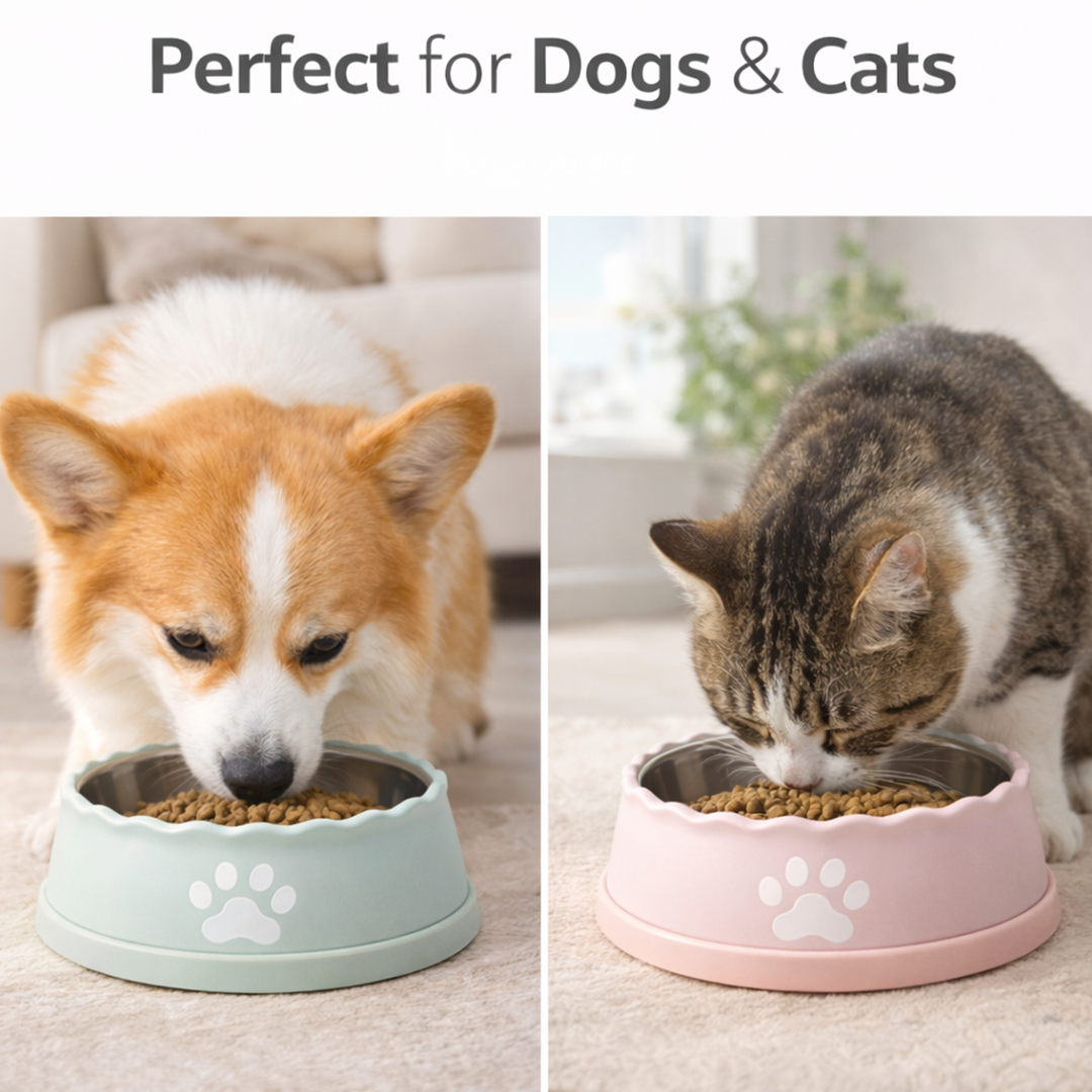 🐶🐕𝑹𝒊𝒑𝒑𝒍𝒆 𝑬𝒅𝒈𝒆 𝑺𝒕𝒂𝒊𝒏𝒍𝒆𝒔𝒔 𝑺𝒕𝒆𝒆𝒍 𝑷𝒆𝒕 𝑩𝒐𝒘𝒍 – 𝑵𝒐𝒏-𝑺𝒍𝒊𝒑 𝑫𝒐𝒈 & 𝑪𝒂𝒕 𝑭𝒆𝒆𝒅𝒊𝒏𝒈 𝑩𝒐𝒘𝒍, 𝑨𝒏𝒕𝒊-𝑺𝒌𝒊𝒅 𝑩𝒂𝒔𝒆, 𝑫𝒊𝒔𝒉𝒘𝒂𝒔𝒉𝒆𝒓 𝑺𝒂𝒇𝒆